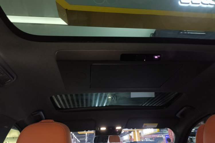 Used Li Auto L9 2024 Ultra Model Headliner