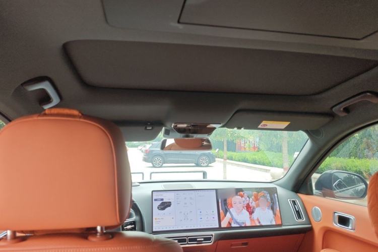 Used Li Auto L9 2024 Pro Model Headliner