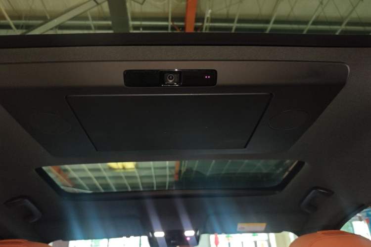 Used Li Auto L9 2024 Pro Model Headliner