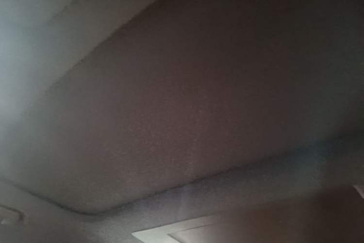 Used Li Auto L9 2024 Ultra Model Headliner