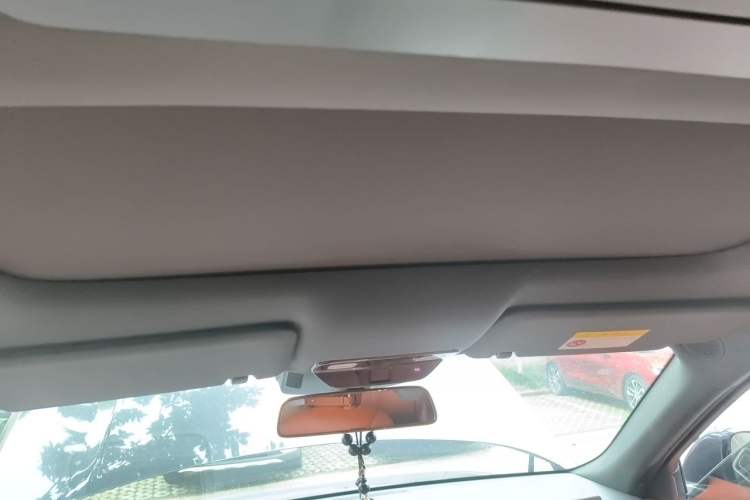 Used Li Auto L9 2024 Ultra Model Headliner