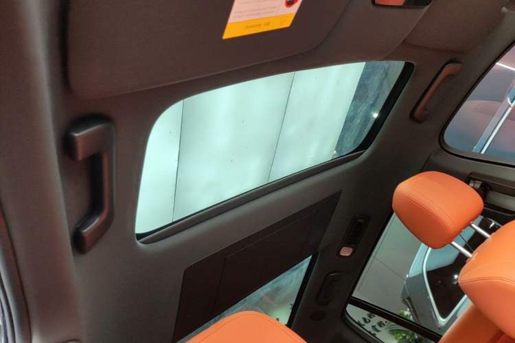 Used Li Auto L9 2024 Ultra Model Headliner
