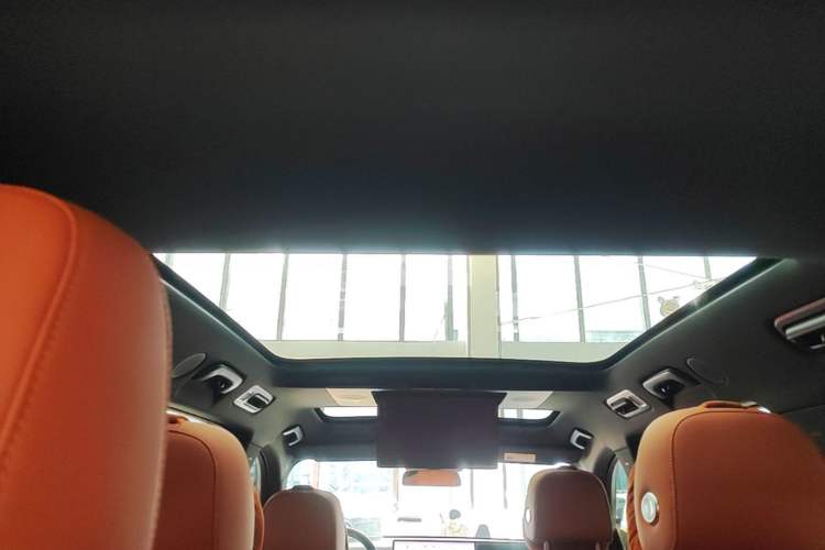 Used Li Auto L9 2024 Ultra Model Headliner