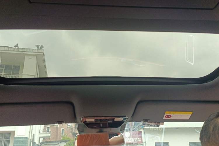 Used Li Auto L9 2024 Ultra Model Headliner