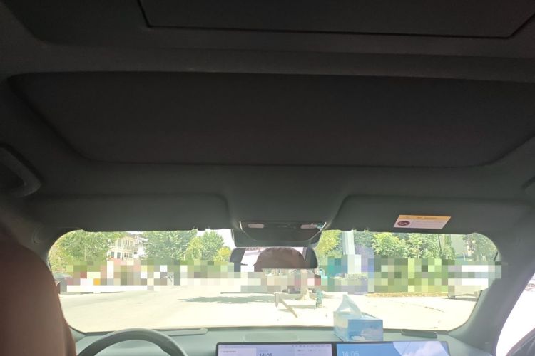 Used Li Auto L9 2024 Pro Model Headliner