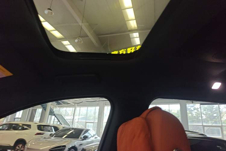 Used Li Auto L9 2024 Ultra Model Headliner