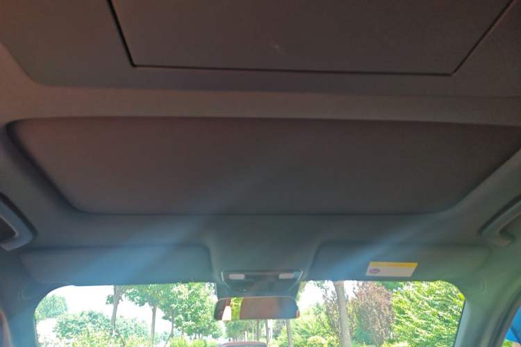 Used Li Auto L9 2024 Ultra Model Headliner