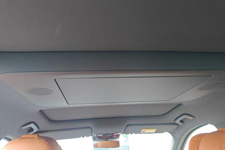 Used Li Auto L9 2024 Ultra Model Headliner