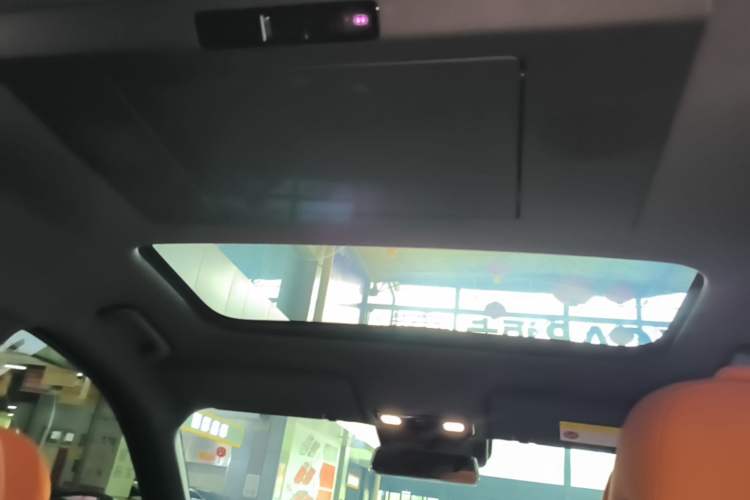 Used Li Auto L9 2024 Ultra Model Headliner