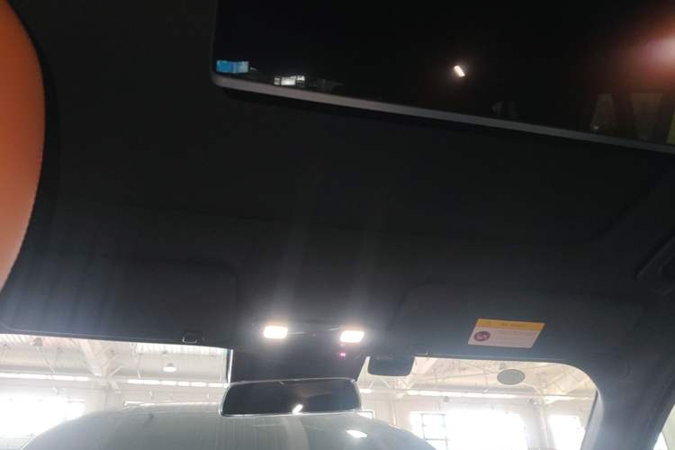 Used Li Auto L9 2024 Pro Model Headliner