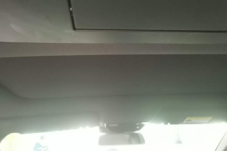 Used Li Auto L9 2024 Ultra Model Headliner