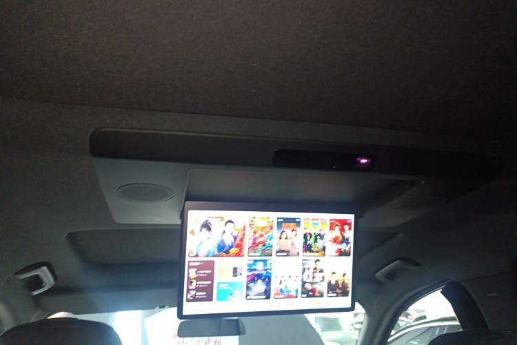 Used Li Auto L9 2024 Ultra Model Headliner