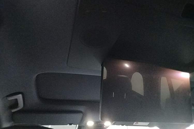 Used Li Auto L9 2024 Ultra Model Headliner