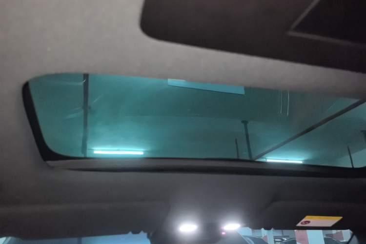 Used Li Auto L9 2024 Ultra Model Headliner