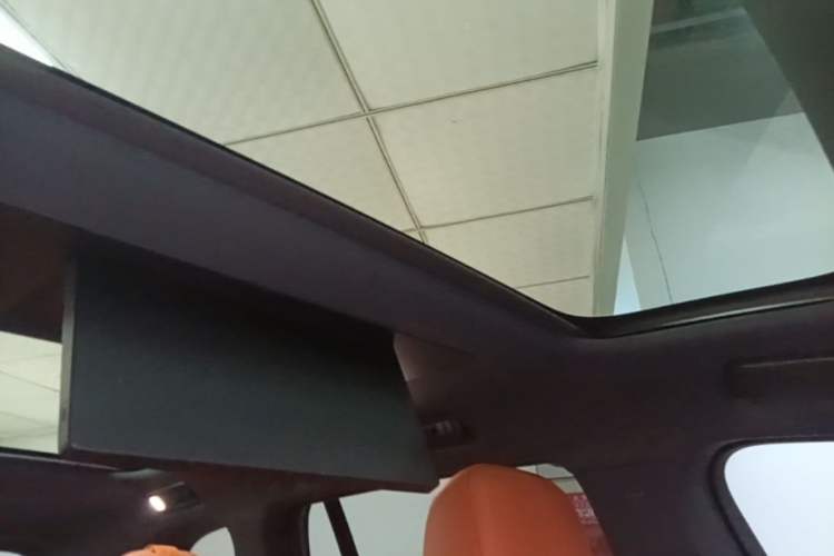 Used Li Auto L9 2024 Ultra Model Headliner