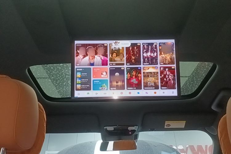 Used Li Auto L9 2024 Ultra Model Headliner