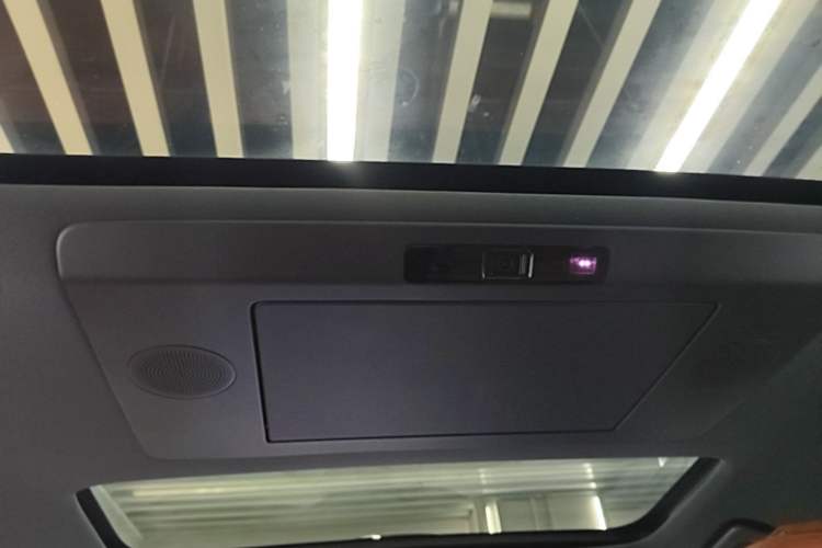 Used Li Auto L9 2024 Ultra Model Headliner