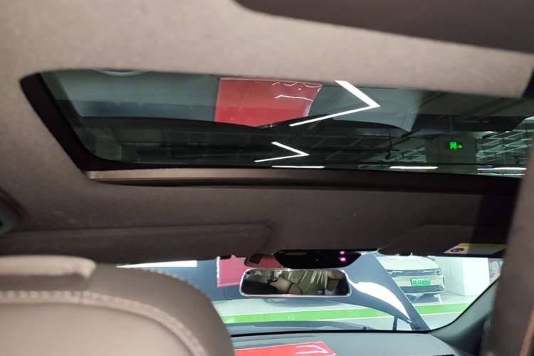 Used Li Auto L9 2024 Pro Model Headliner