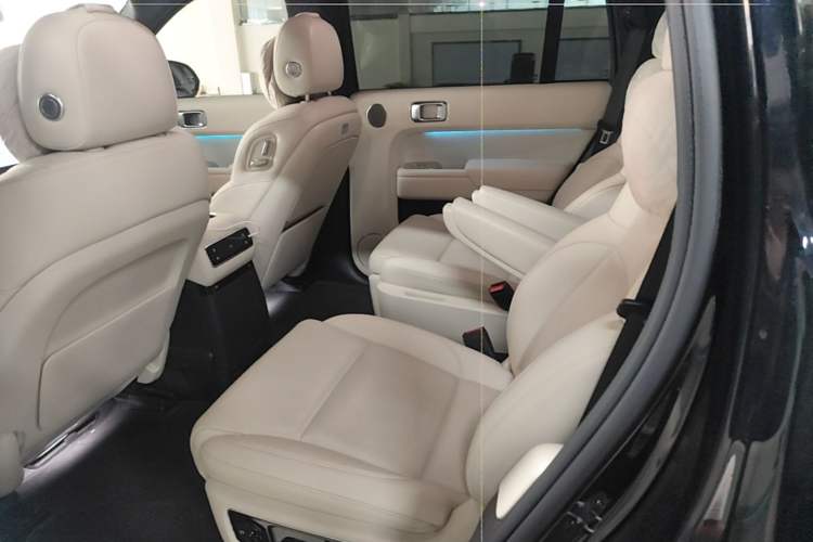 Used Li Auto L9 2024 Ultra Model Left Rear Seat