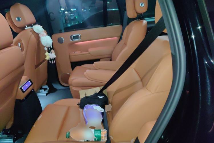 Used Li Auto L9 2024 Pro Model Left Rear Seat