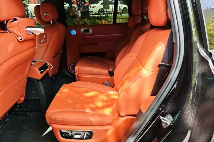 Used Li Auto L9 2024 Ultra Model Left Rear Seat