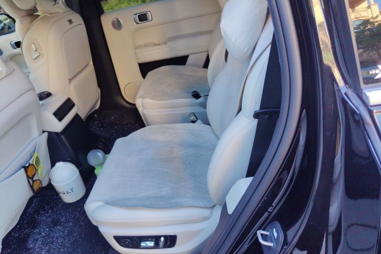Used Li Auto L9 2024 Ultra Model Left Rear Seat