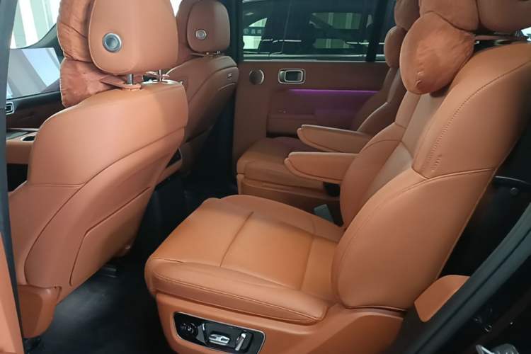Used Li Auto L9 2024 Ultra Model Left Rear Seat