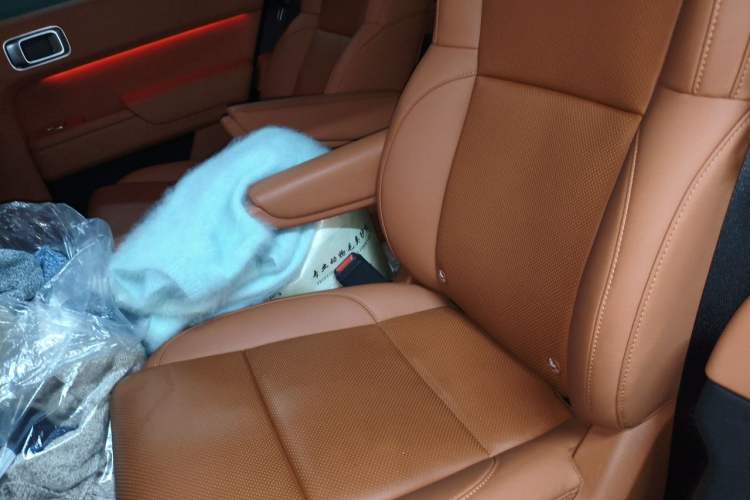 Used Li Auto L9 2024 Ultra Model Left Rear Seat