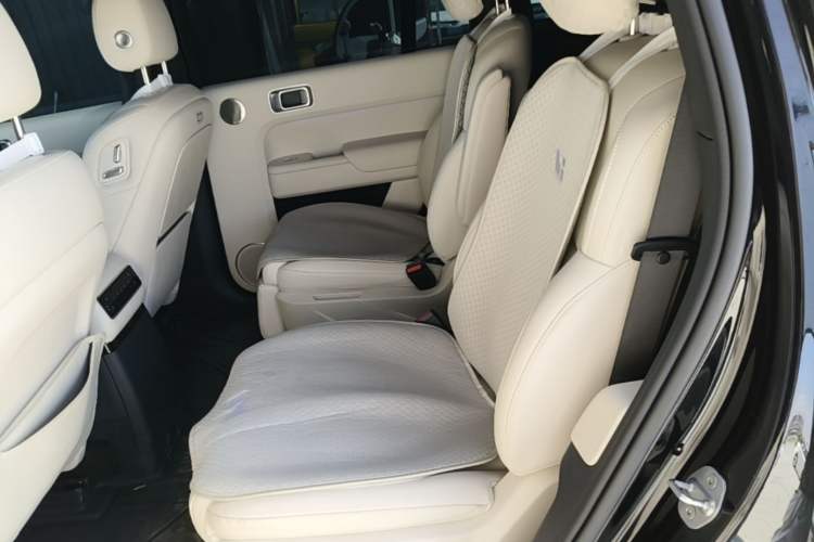 Used Li Auto L9 2024 Ultra Model Left Rear Seat