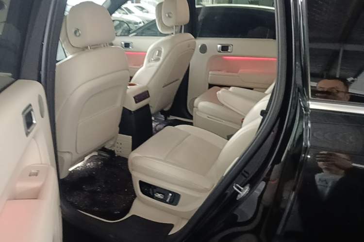 Used Li Auto L9 2024 Ultra Model Left Rear Seat