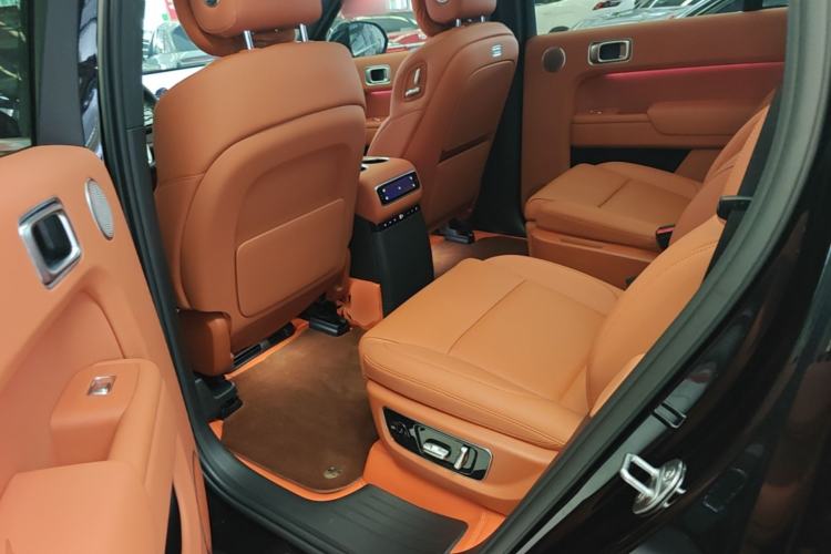Used Li Auto L9 2024 Ultra Model Left Rear Seat