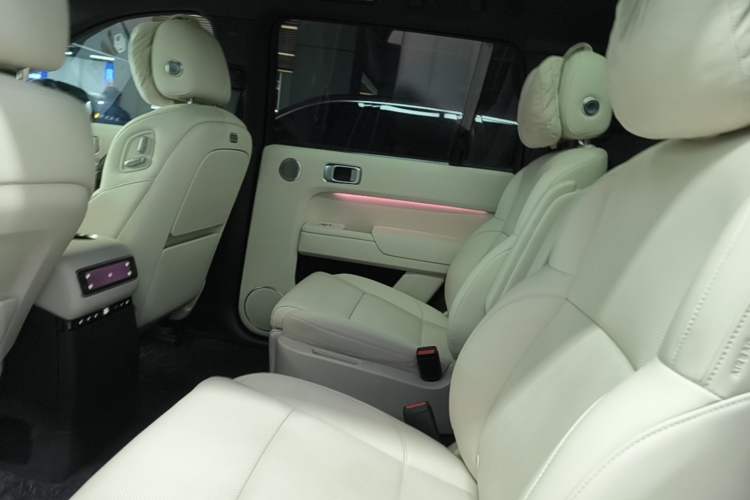 Used Li Auto L9 2024 Ultra Model Left Rear Seat