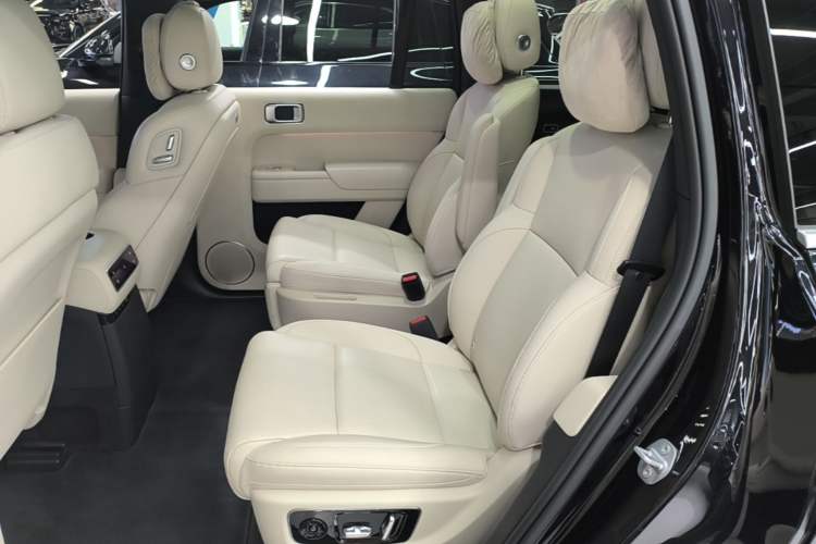 Used Li Auto L9 2024 Ultra Model Left Rear Seat