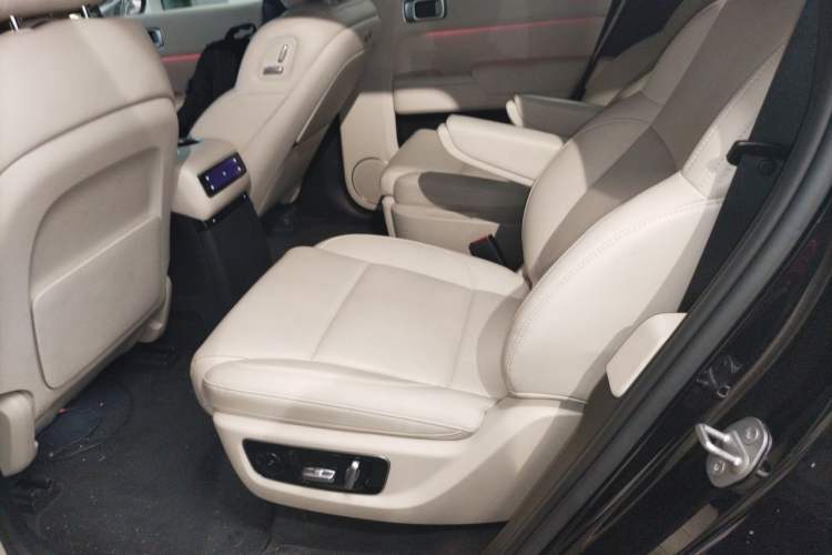 Used Li Auto L9 2024 Ultra Model Left Rear Seat