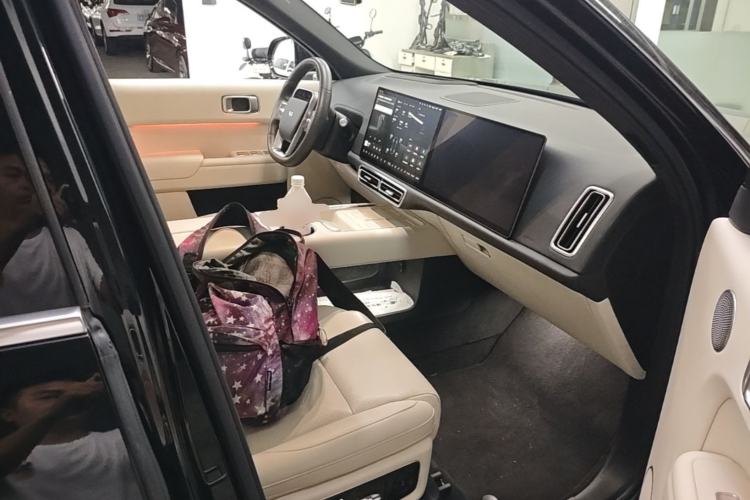 Used Li Auto L9 2024 Ultra Model Right Front Seat