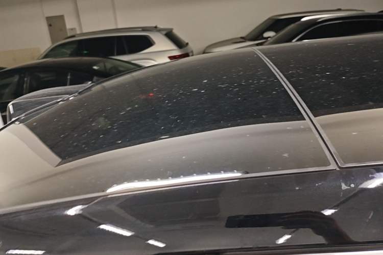 Used Li Auto L9 2024 Ultra Model Roof