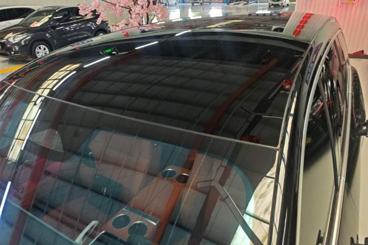 Used Li Auto L9 2024 Pro Model Roof