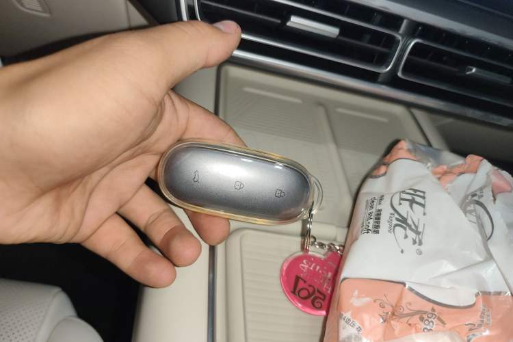 Used Li Auto L9 2024 Pro Model Vehicle Key