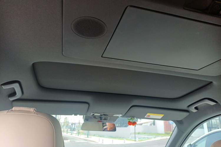Used Li Auto L9 2024 Ultra Model Headliner