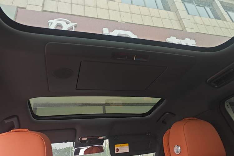 Used Li Auto L9 2024 Ultra Model Headliner