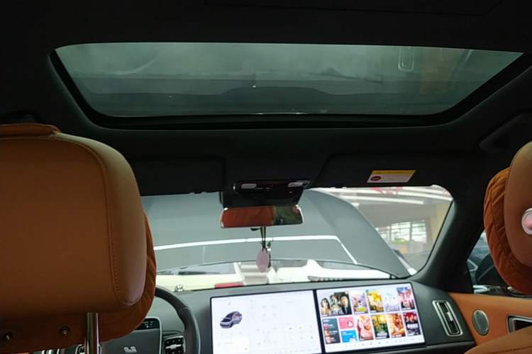 Used Li Auto L9 2024 Ultra Model Headliner