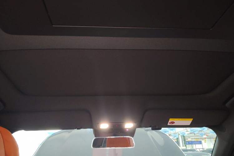 Used Li Auto L9 2024 Ultra Model Headliner