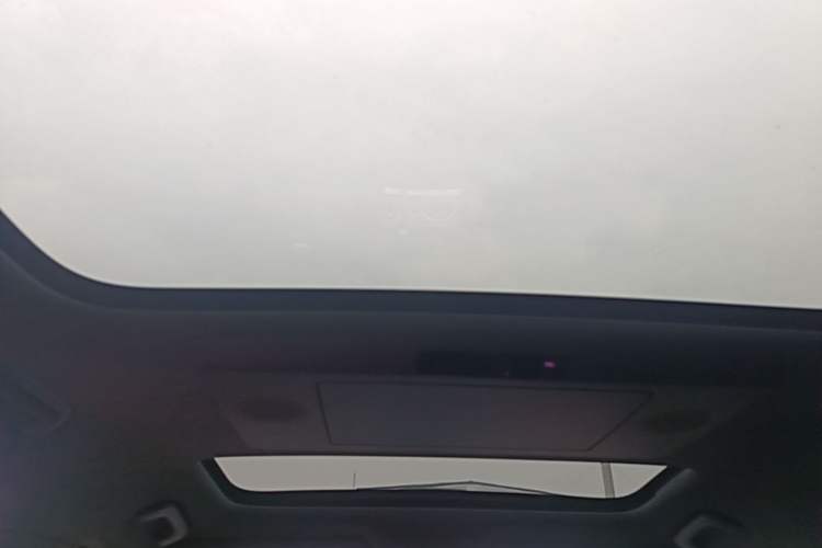 Used Li Auto L9 2024 Ultra Model Headliner