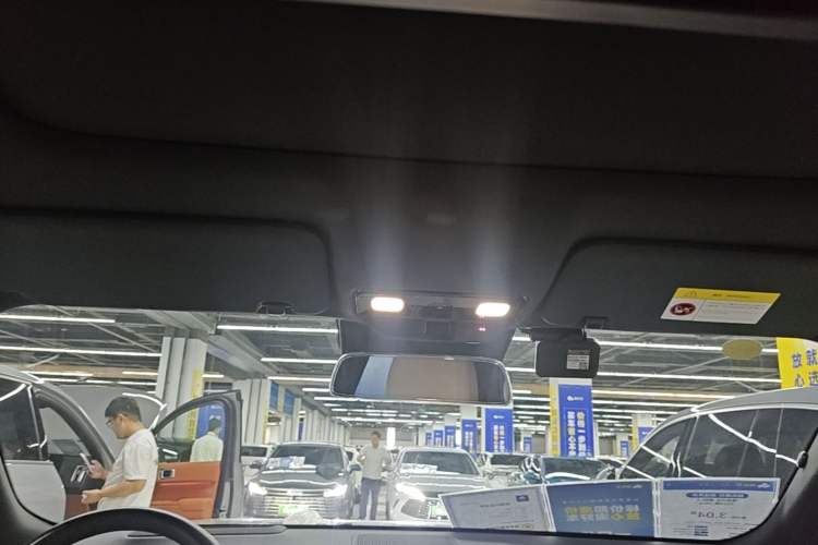 Used Li Auto L9 2024 Ultra Model Headliner