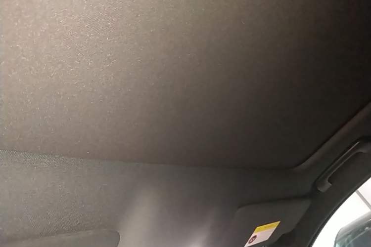 Used Li Auto L9 2024 Ultra Model Headliner