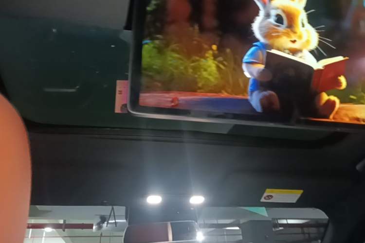 Used Li Auto L9 2024 Ultra Model Headliner