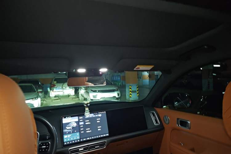 Used Li Auto L9 2024 Pro Model Headliner