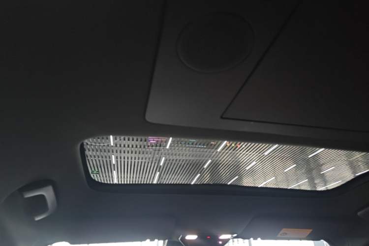 Used Li Auto L9 2024 Ultra Model Headliner