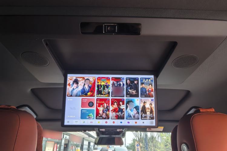 Used Li Auto L9 2024 Ultra Model Headliner