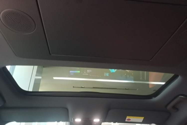 Used Li Auto L9 2024 Ultra Model Headliner